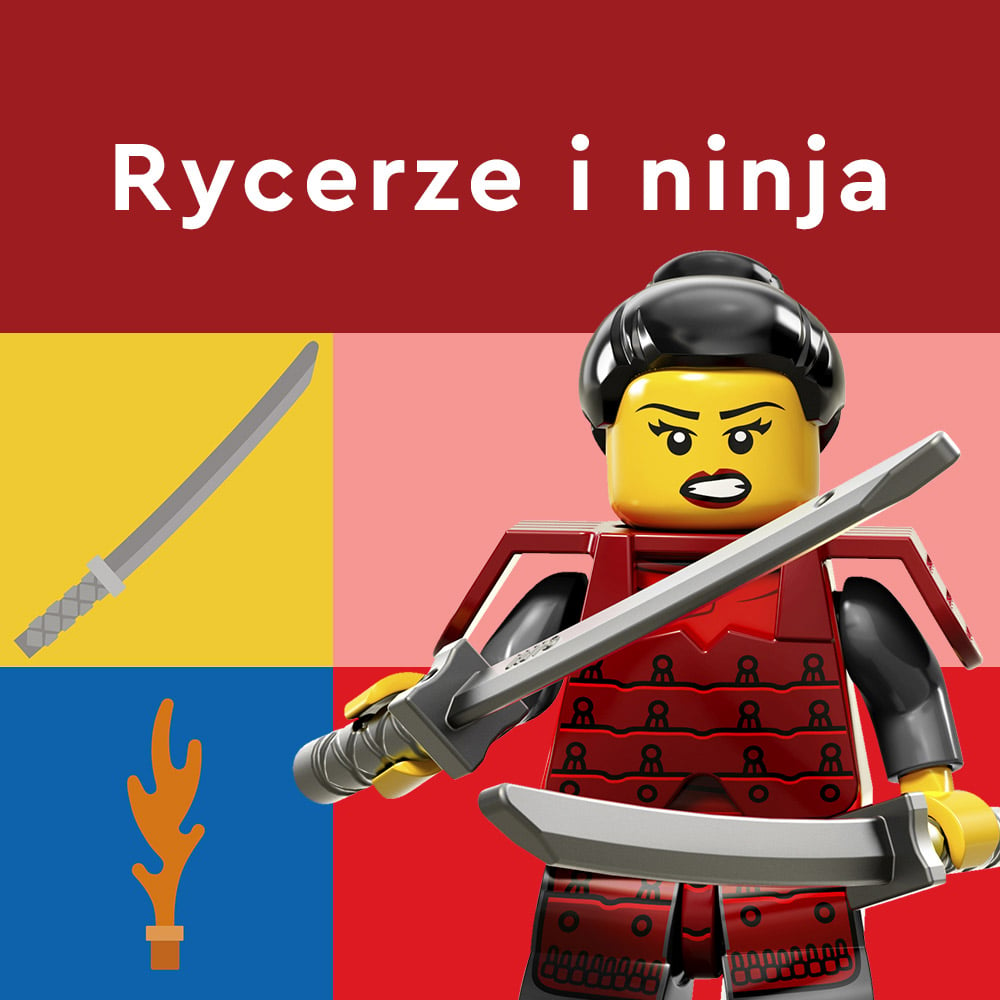 Rycerze i Ninja