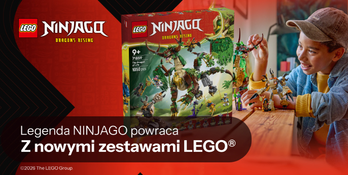 LEGO®  NINJAGO